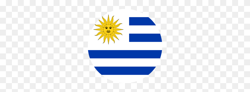 250x250 Uruguay Icono De La Bandera - Banderas Del Mundo Png