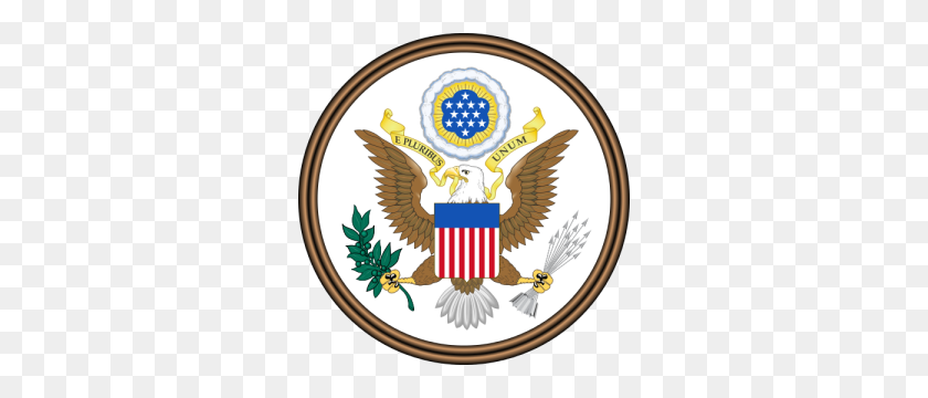 300x300 Usa Residency - Eagle Scout Clipart