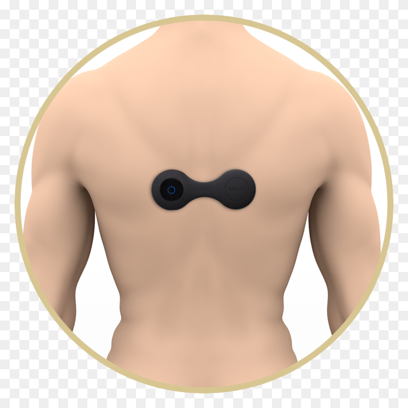 787x787 User Guide - Chest Hair PNG