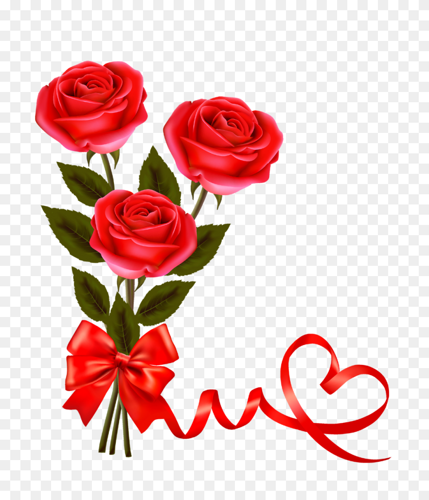 1006x1184 Valentine Red Rose Png Pictures And Clipart - Red Rose PNG
