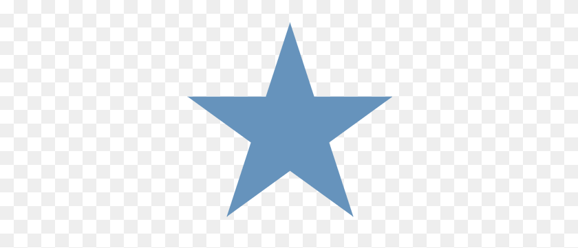 300x301 Государственные Школы Доблести - Новая Сеть Чартерных Школ Техаса - Texas Star Png