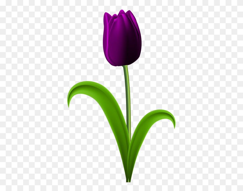 381x600 Various Pics In Art, Art Images, Tulips - Violet Flower Clipart