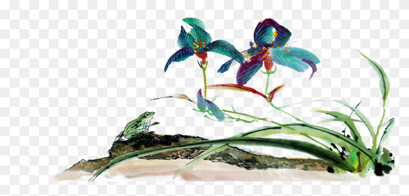 1200x528 Сосудистые Растения Кустарник Древесное Растение, Искусство, Цвет, Узор - План Дерева Png