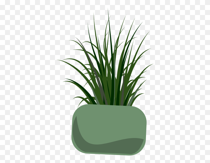 390x592 Vase With Grass Clip Art - Yucca Clipart