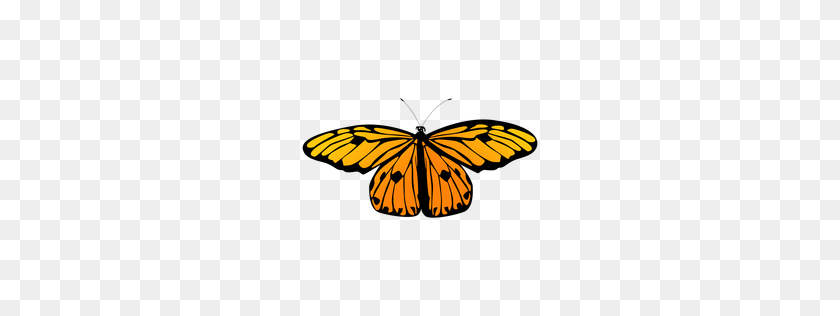 256x256 Vector Art Pngs - Butterfly Vector PNG