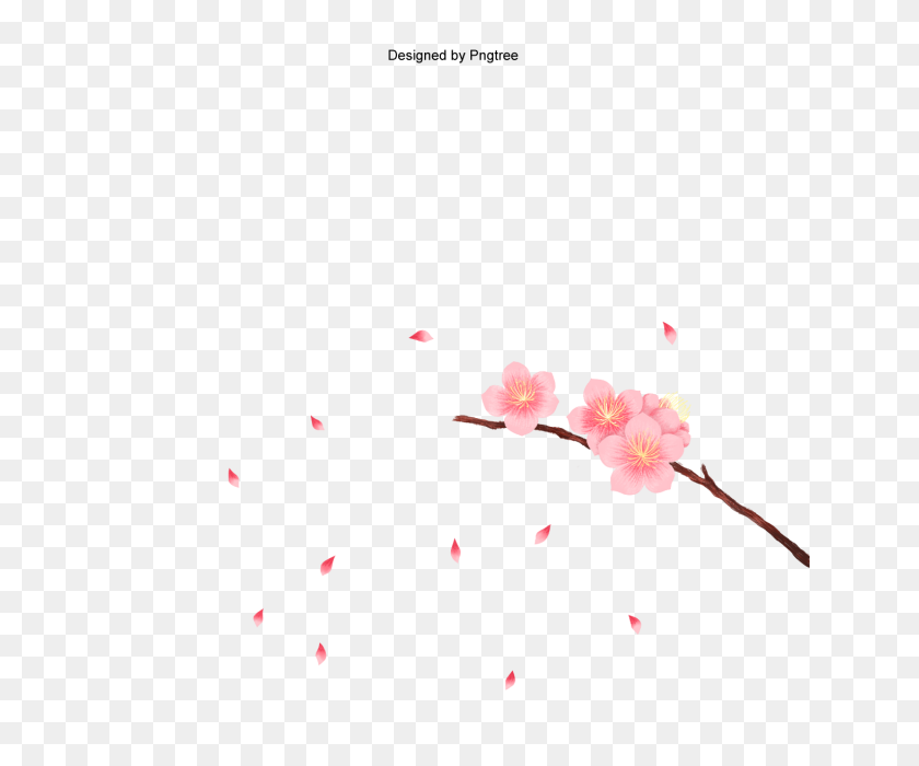 640x640 Vector Cherry Blossom In Spring Time, Peach Flowers, Pink Flowers - Sakura Flower PNG