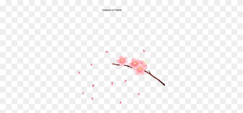300x331 Vector Cherry Blossom In Spring Time, Vector Cherry - Cherry Blossom PNG
