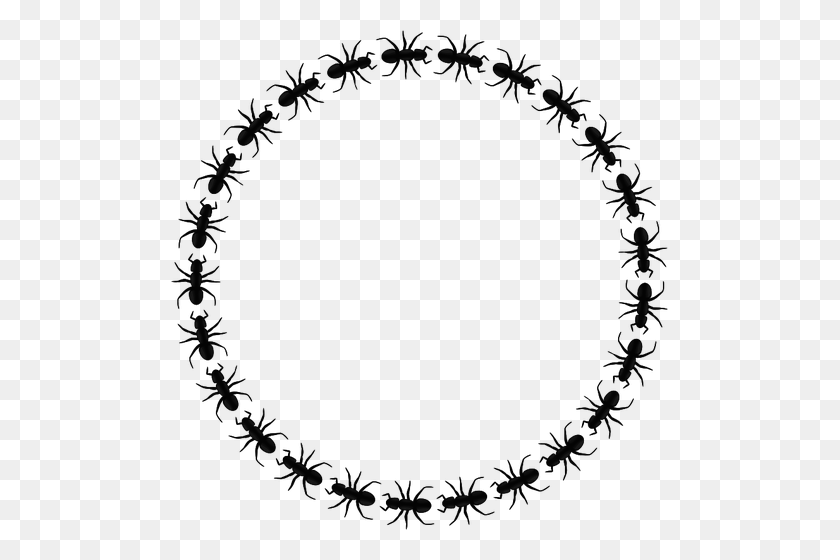497x500 Vector Clip Art Of Ant Pattern Circular Border - Paisley Clipart