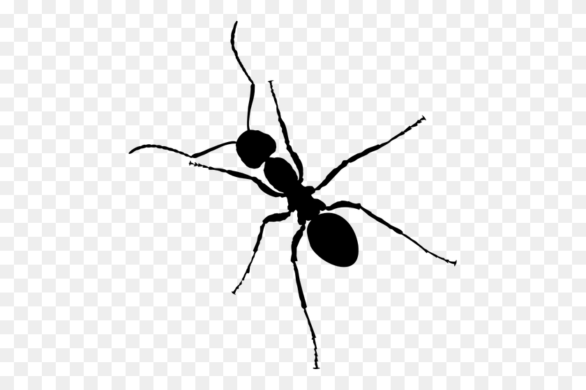 471x500 Vector Clip Art Of Ant With Six Legs - Free Ant Clipart