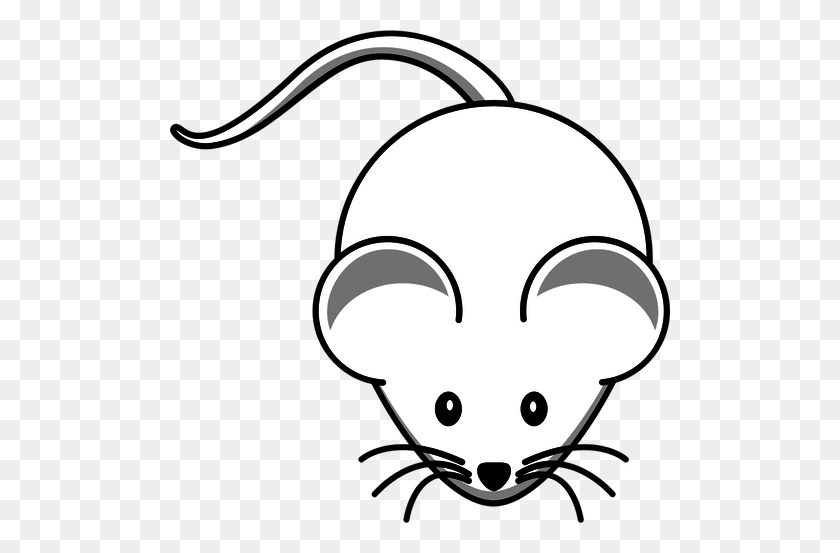 500x493 Vector Clip Art Of Cartoon White Mouse With Long Mustache Public - Mustache Clipart Black And White