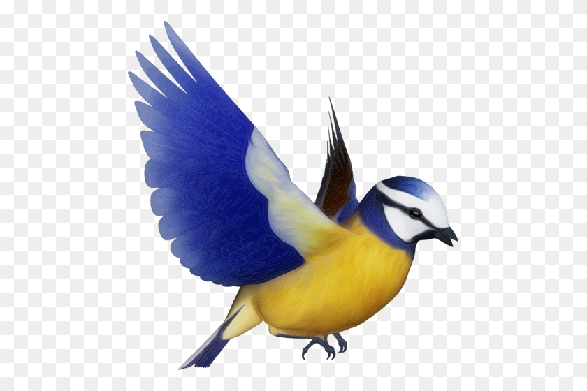 473x500 Imágenes Prediseñadas De Vector De Pájaro Colorido - Blue Jay Clipart