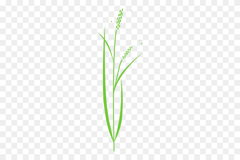 158x500 Vector Clip Art Of Simple Rice Plant - Rice Clipart