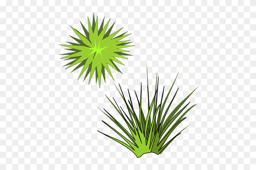 500x500 Vector Illustration Of Green Spiky Plant With Green Sun Above - Grass Vector PNG