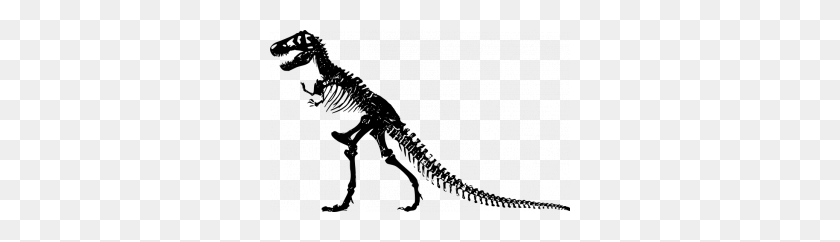 300x182 Векторная Иллюстрация Рычания Тираннозавра - Черно-Белый Клипарт Ти-Рекс
