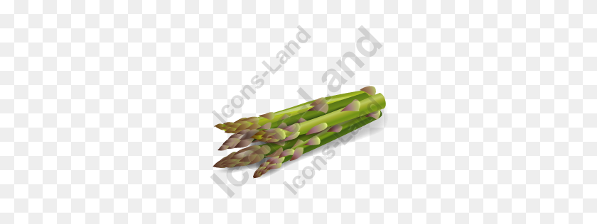 256x256 Vegetable Asparagus Icon, Pngico Icons - Asparagus PNG
