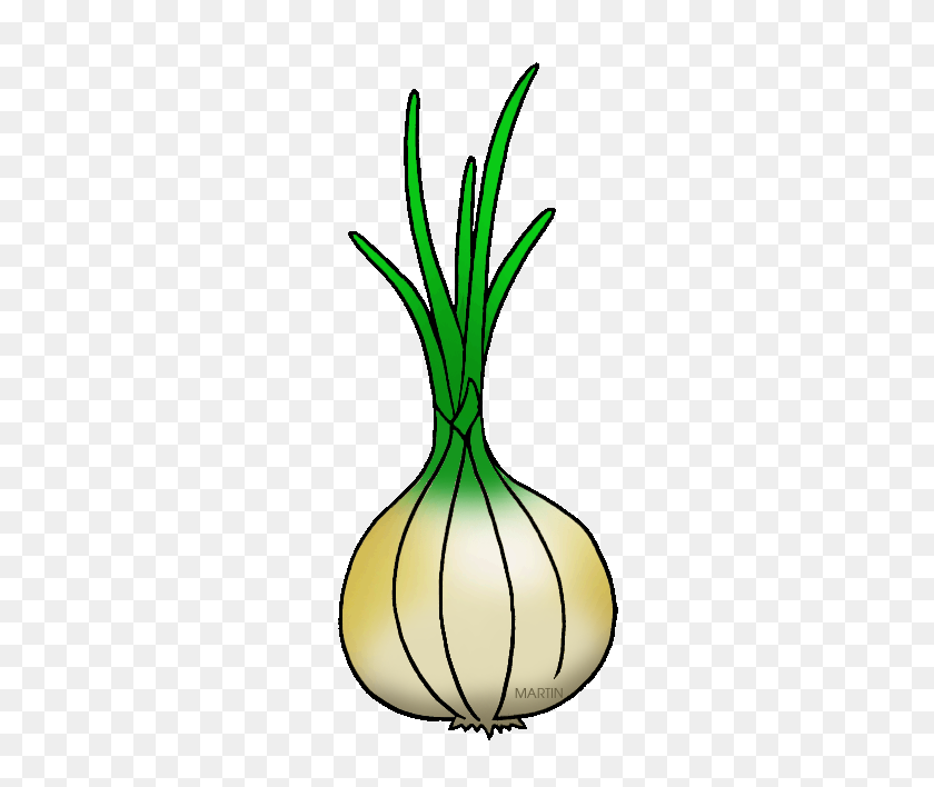 313x648 Vegetable Clipart Onion - Onion Clipart Black And White