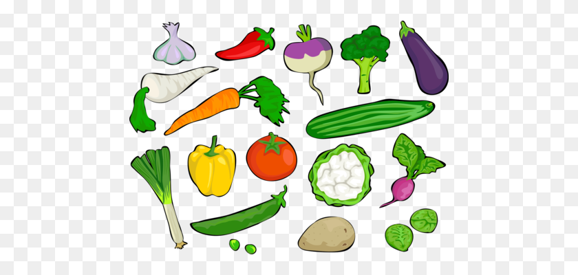 464x340 Vegetable Computer Icons Daikon Food Beetroot - Fruits And Vegetables Clipart