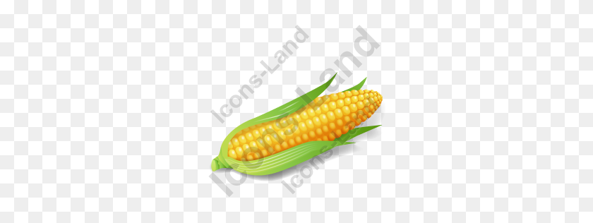 256x256 Vegetable Corn Icon, Pngico Icons - Corn On The Cob PNG