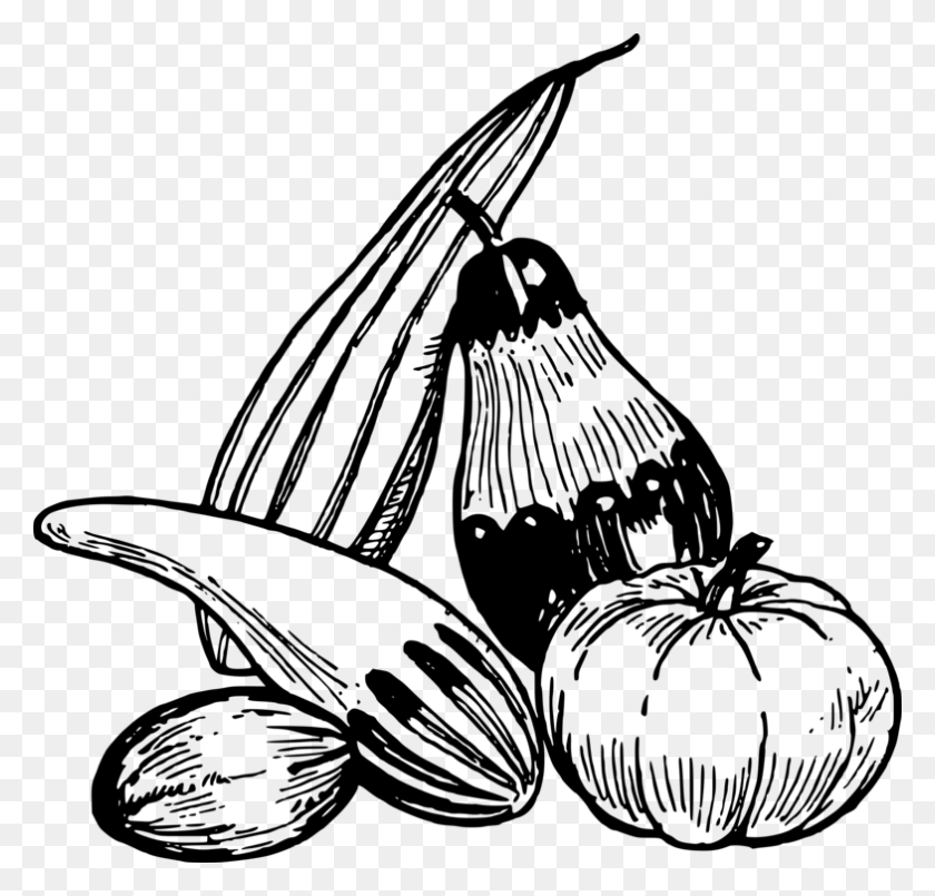 785x750 Vegetable Drawing Fruit Line Art Eggplant - Fruits And Vegetables Clipart