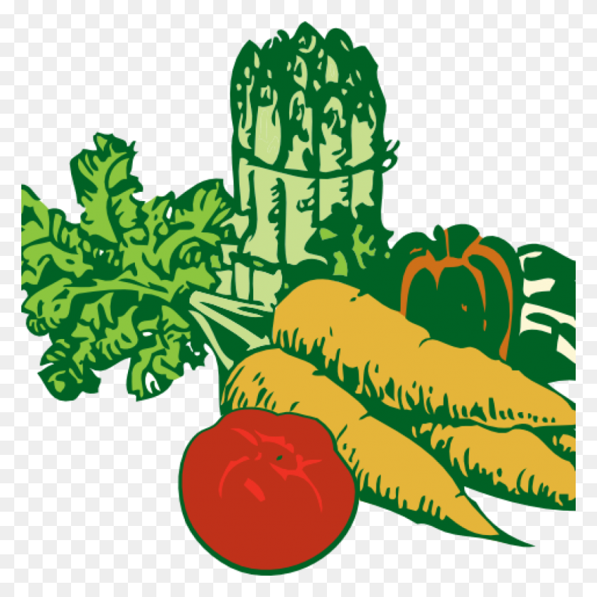 1024x1024 Vegetable Garden Clipart Free Clipart Download - School Garden Clipart