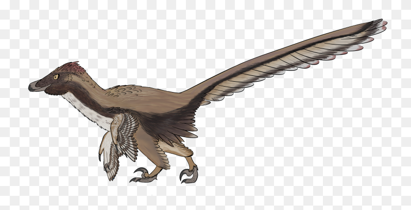 3872x1835 Velociraptor - Velociraptor PNG