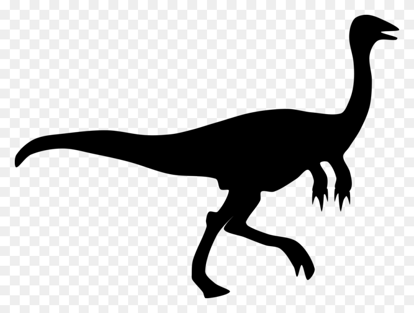 1015x750 Velociraptor Dinosaurio Silueta Gallimimus Dibujo Gratis - Velociraptor Clipart