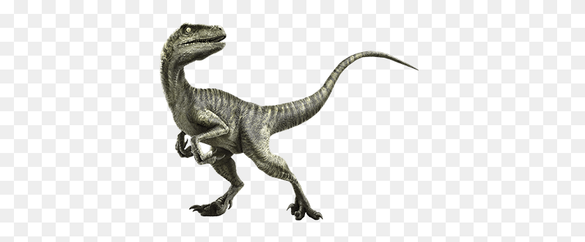 402x288 Velociraptor Cosas Que Me Gustan Y Referencias De Jurassic - Jurassic Park Png