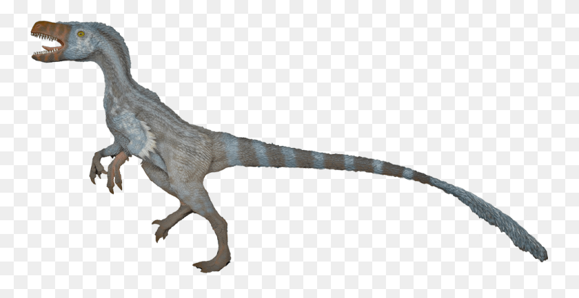 1040x498 Velociraptor Transparent Images Png - Velociraptor PNG