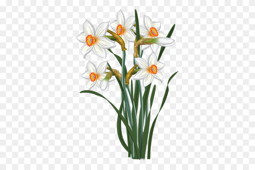 338x500 Vesennie Daffodils, Clip Art And Flower - Daffodil Clip Art