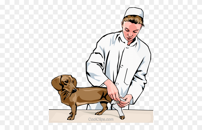 434x480 Vet Bandaging Dog's Leg Royalty Free Vector Clip Art Illustration - Vet Clipart