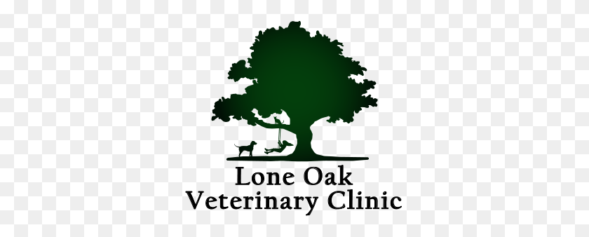 312x278 Veterinary Coupons And Specials, Visalia Vet, Animal Hospital Visalia - Oak Tree Silhouette PNG