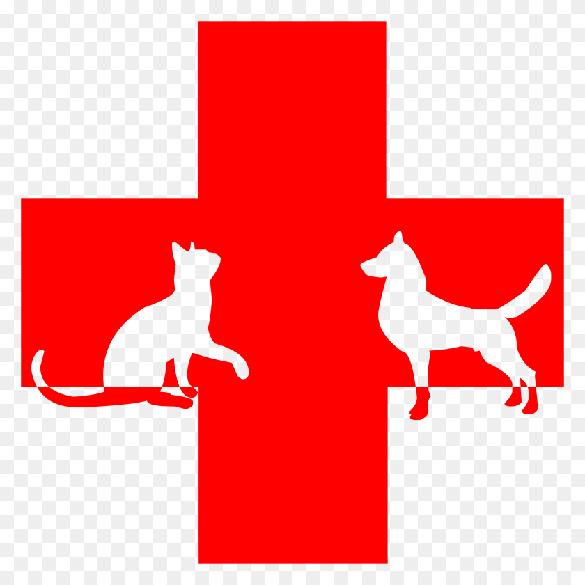 2258x2258 Veterinary First Aid Icons Png - First Aid PNG