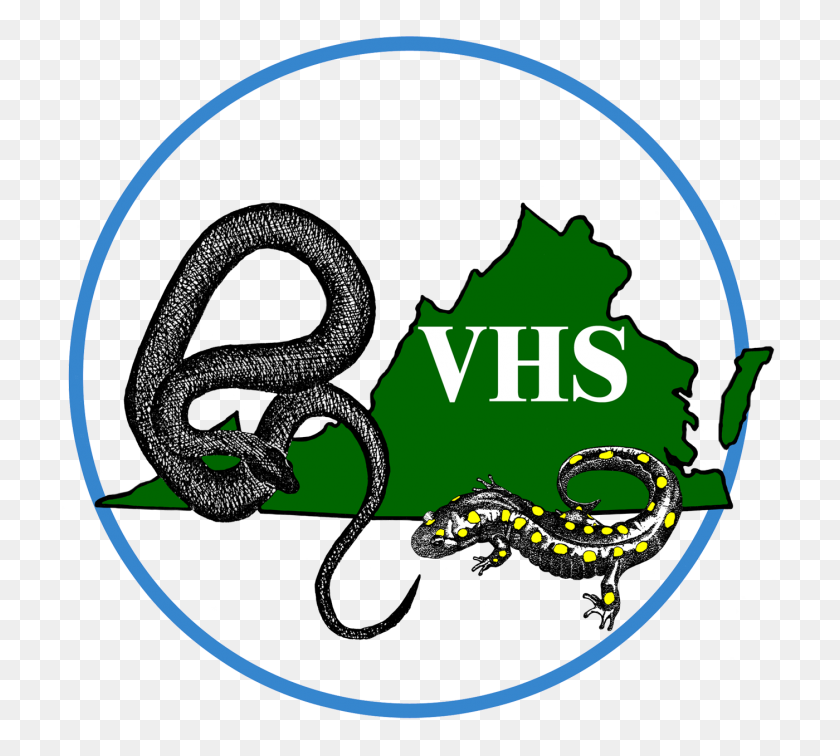 1400x1250 Vhs Email And Facebook Ids - Vhs Logo PNG