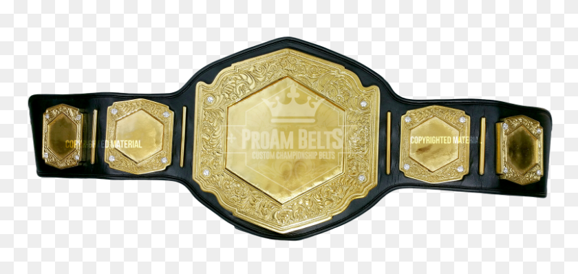 800x347 Vicious Dc Heavy Gold Proambelts - Championship Belt PNG