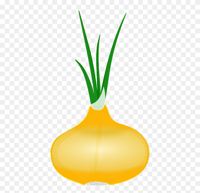 416x750 Vidalia Onion Vegetable Download - Leek Clipart
