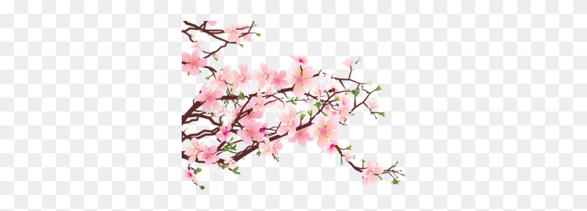 320x243 View Topic - Cherry Blossom Tree PNG