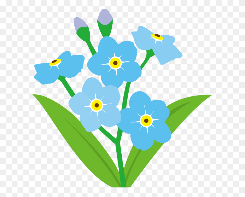617x614 Views Craft Forget Me Not, Flower Clipart - Forget Me Not Clipart