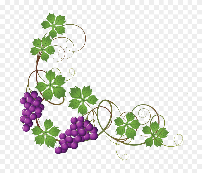 4340x3658 Vine And Branches Png Transparent Vine And Branches Images - Branches PNG