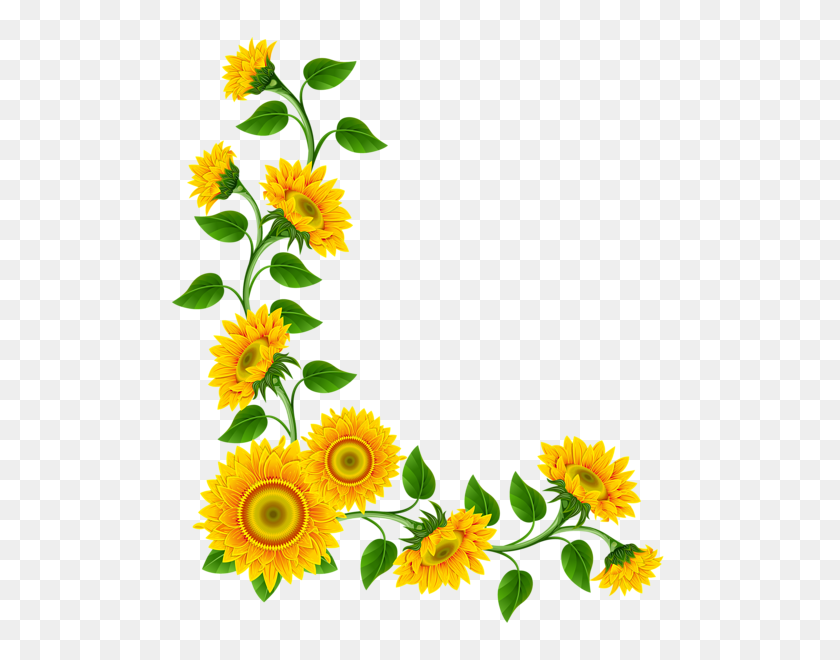 505x600 Vine Clipart Sunflower - Flower Vine Clipart
