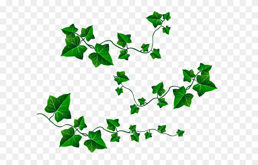 600x477 Vine Leaves Decoration Png Clipart Picture - PNG Leaves