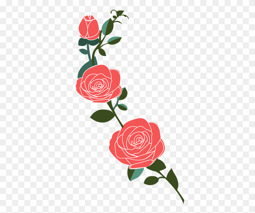374x643 Vinilo Decorativo Rosas - Rosas Rojas PNG