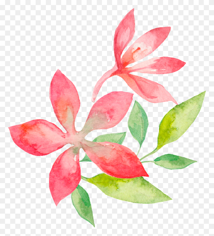 1024x1140 Acuarela Floral Png