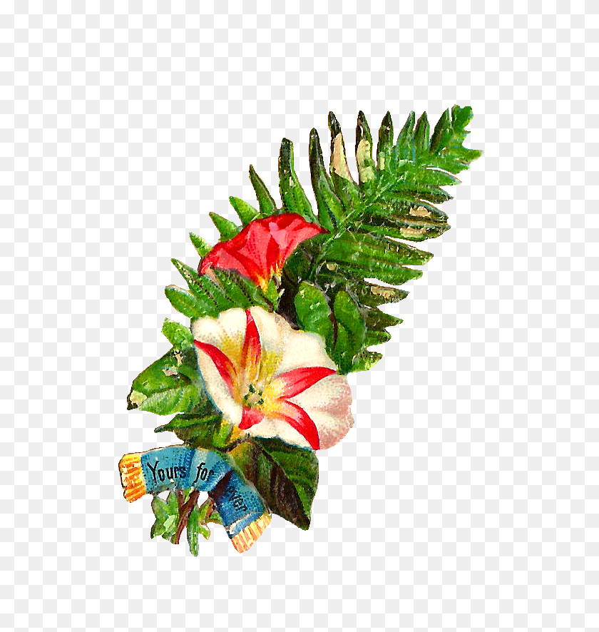 727x826 Винтаж Цветочный Клипарт Цветочный Лист - Акварельные Листья Png