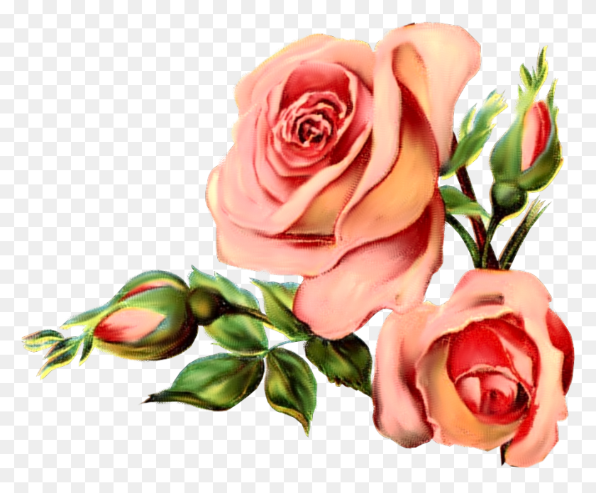 890x725 Винтажный Цветочный Клипарт Розовый - Пастельные Цветы Png