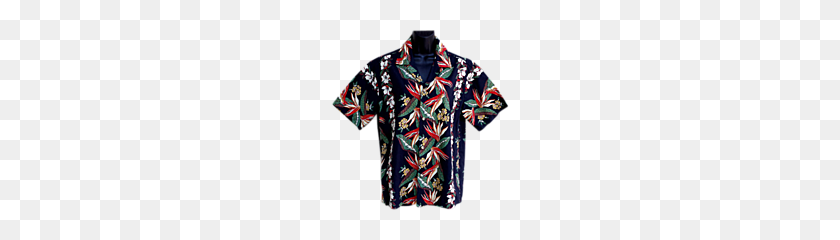 180x180 Vintage Hawaiian Shirt Dramatic Black Background Size Medium - Hawaiian Shirt PNG