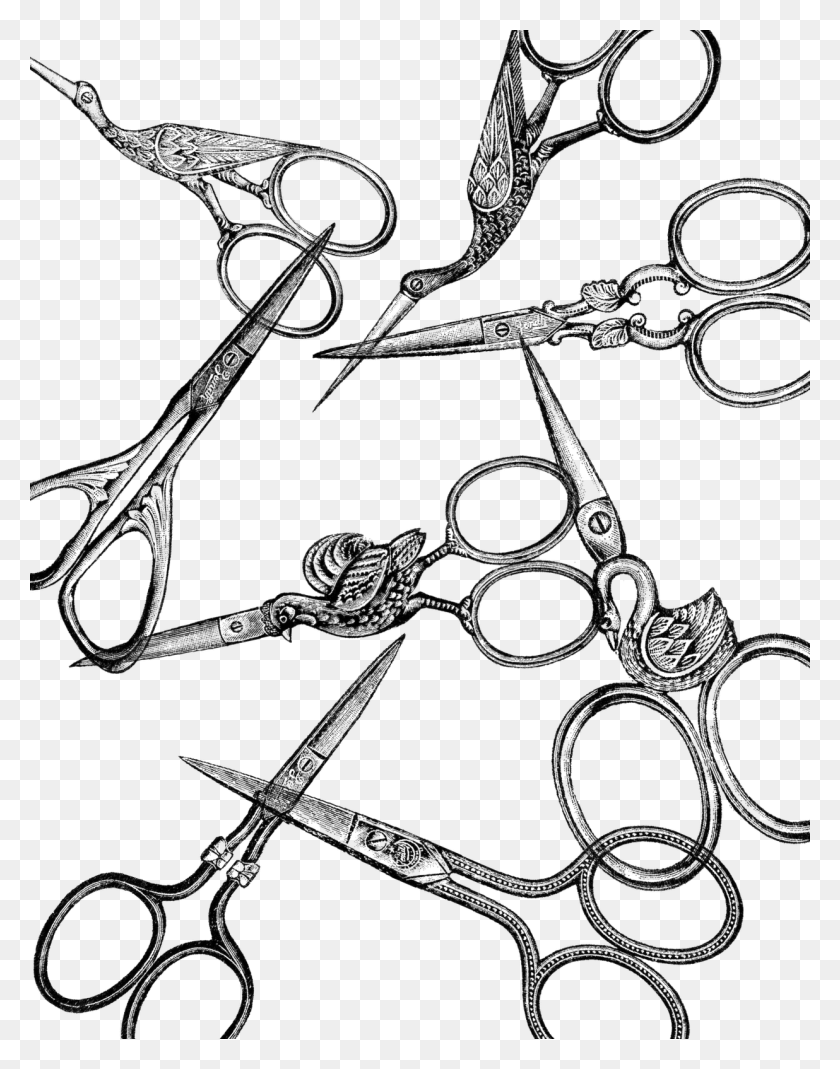 1236x1600 Vintage Scissors Clipart Png - Science Tools Clipart