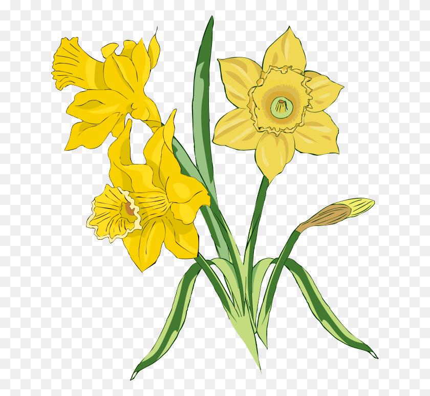640x713 Vintage Spring Clip Art Daffodil The Graphics Fairy - Fairy Garden Clipart