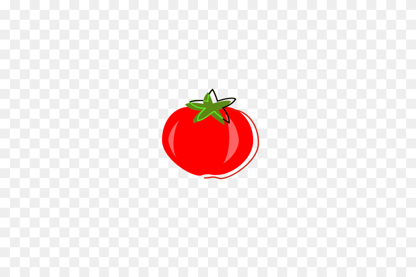 500x500 Vintage Tomato Vector Graphics - Tomato Slice Clipart