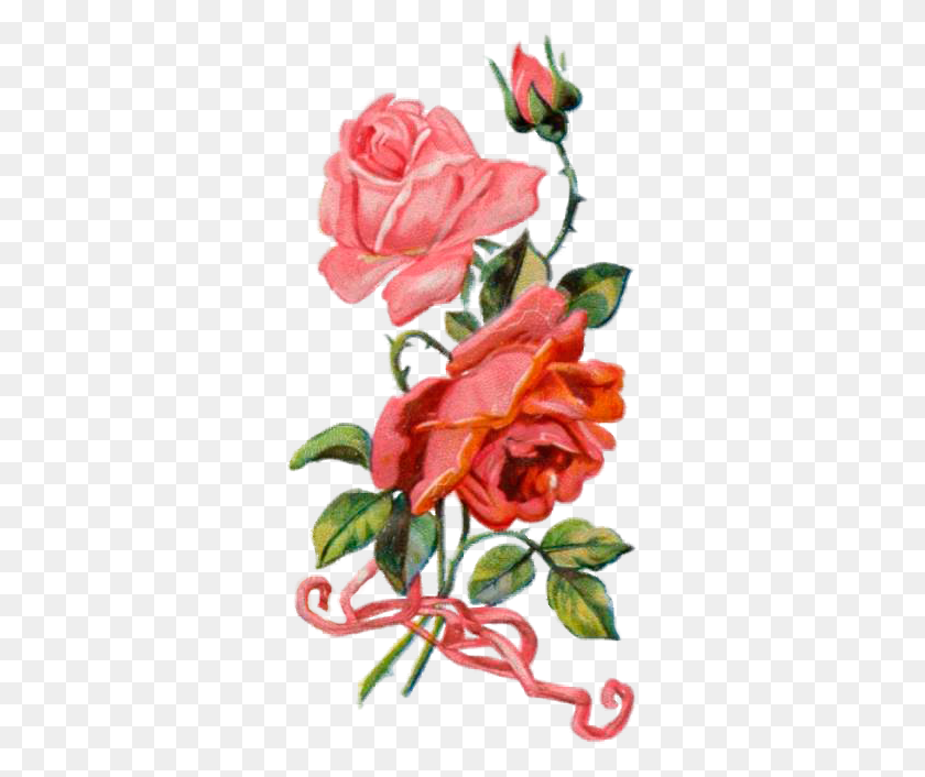 318x646 Vintage Vintage Roses - Vintage Rose Clipart