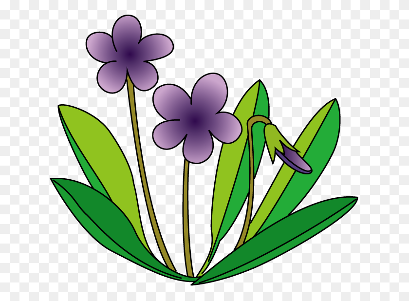 636x558 Violet Clip Art - Violet Flower Clipart